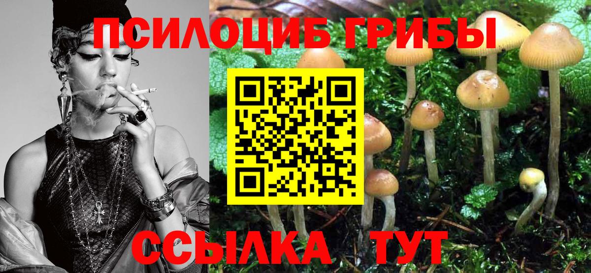 Галлюциногенные грибы мицелий  Псилоцибиновые грибы Psilocybe  Серпухов  Вход с VPN 