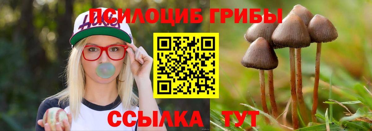 Псилоцибиновые грибы Cubensis Серпухов
